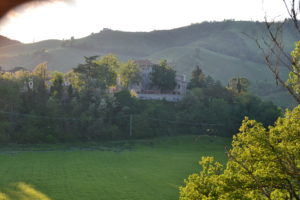 P.Meleto 003